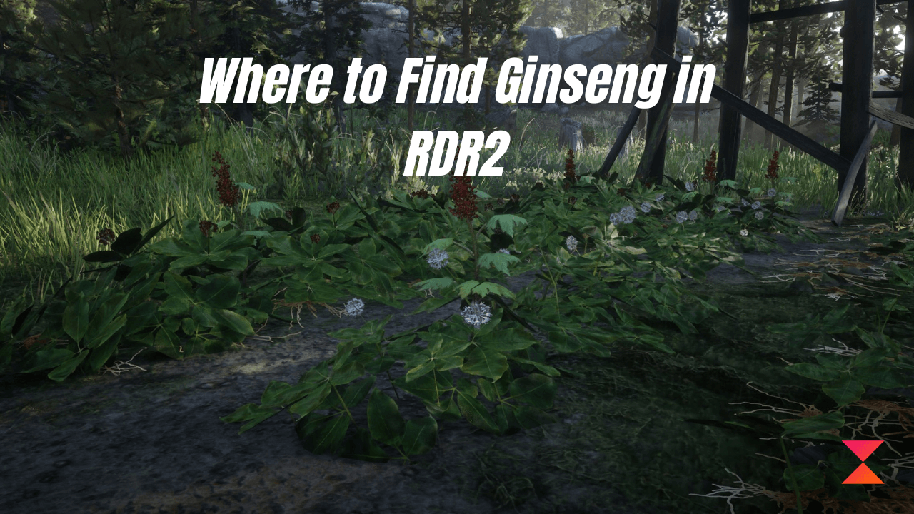 Where to Find Ginseng in RDR2